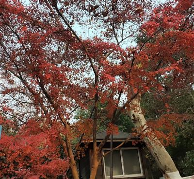 工业和信息化部安全生产委员会召开全体会议